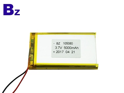 Lithium-ion Polymer Batteries