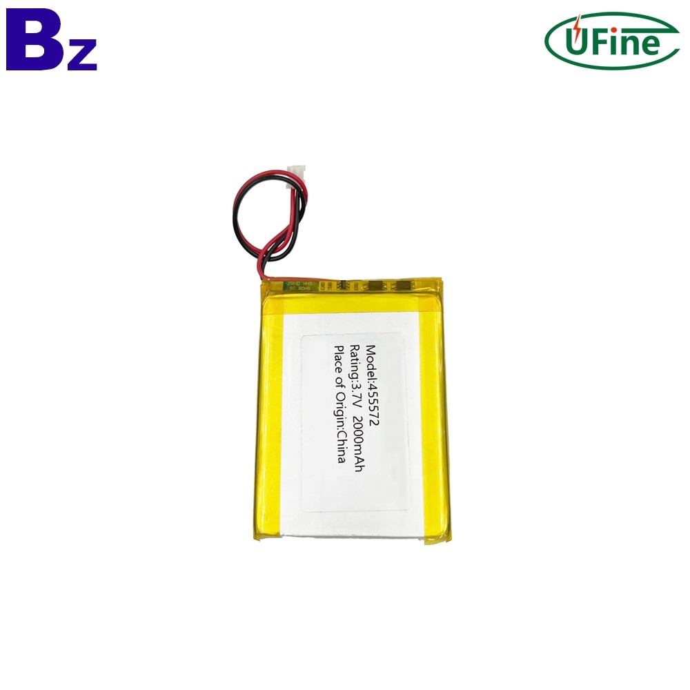 Professional Customize Rechargeable Battery