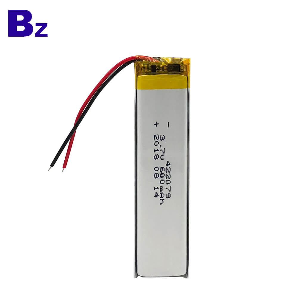 BZ 422079 600mAh 3.7V Polymer Li-Ion Battery