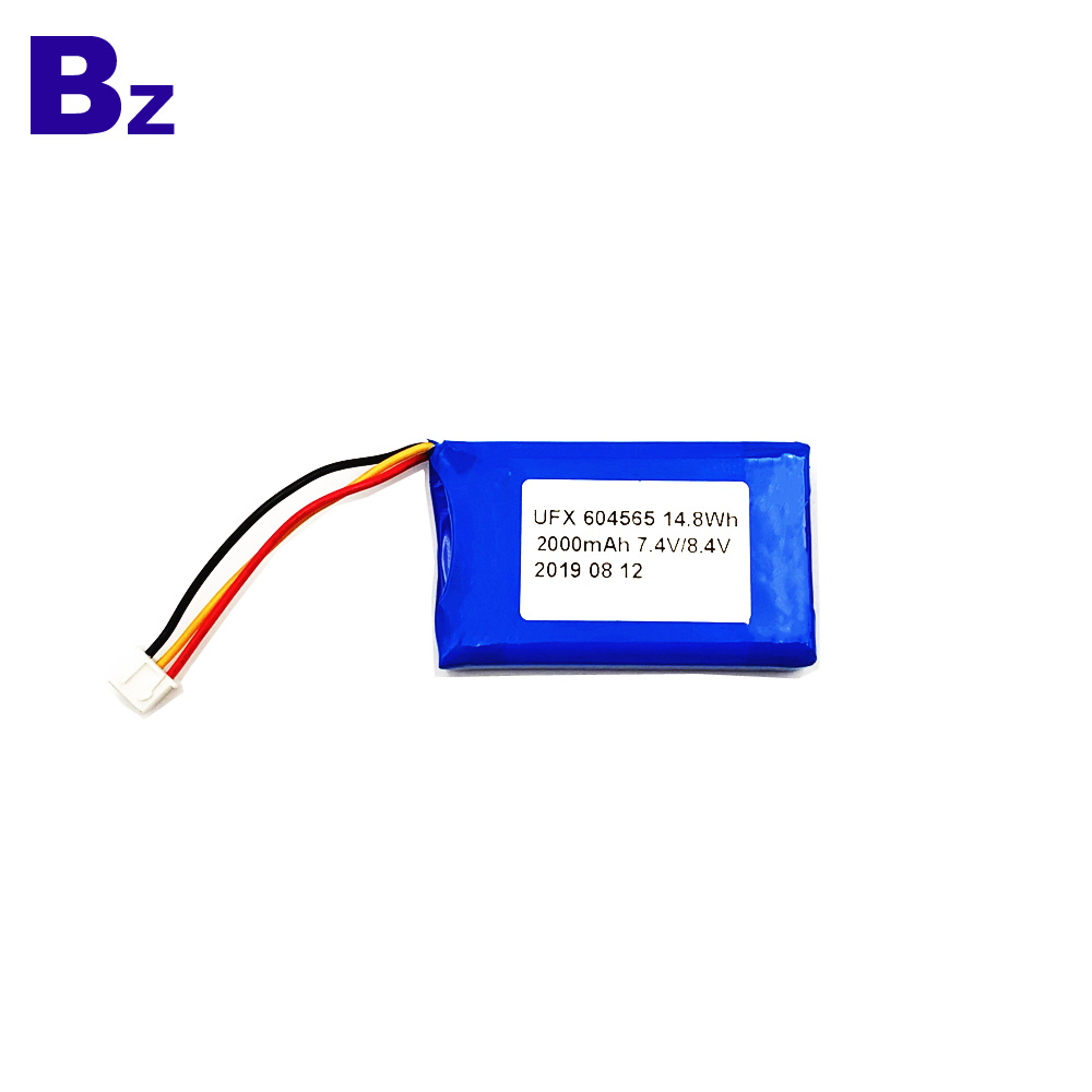 2000mAh Li-Polymer Battery For 3C Digital 2000mAh Li-Polymer Battery For 3C Digital