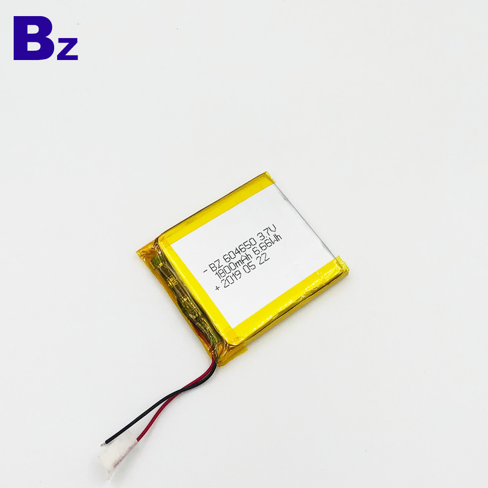 1800mAh Battery For Tester